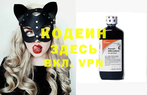 хмурый Алзамай