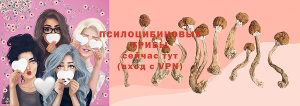 хмурый Алзамай