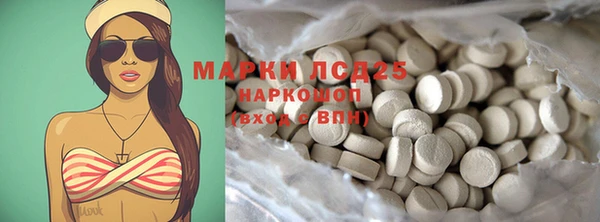 хмурый Алзамай