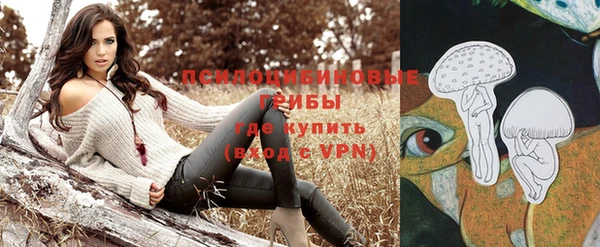 хмурый Алзамай