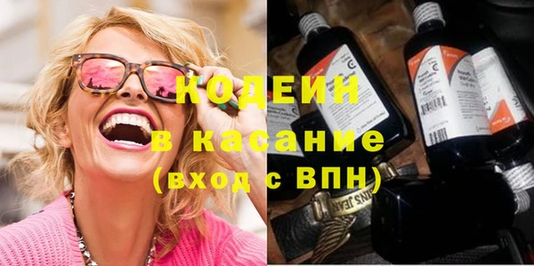 индика Абинск