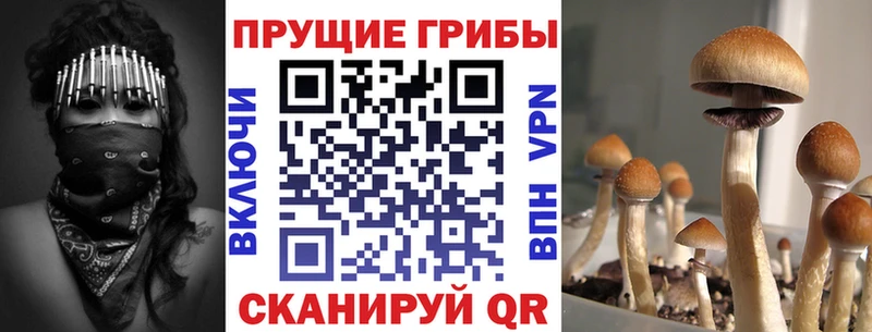 Псилоцибиновые грибы Magic Shrooms  shop официальный сайт  Карпинск  дарнет шоп  omg tor 
