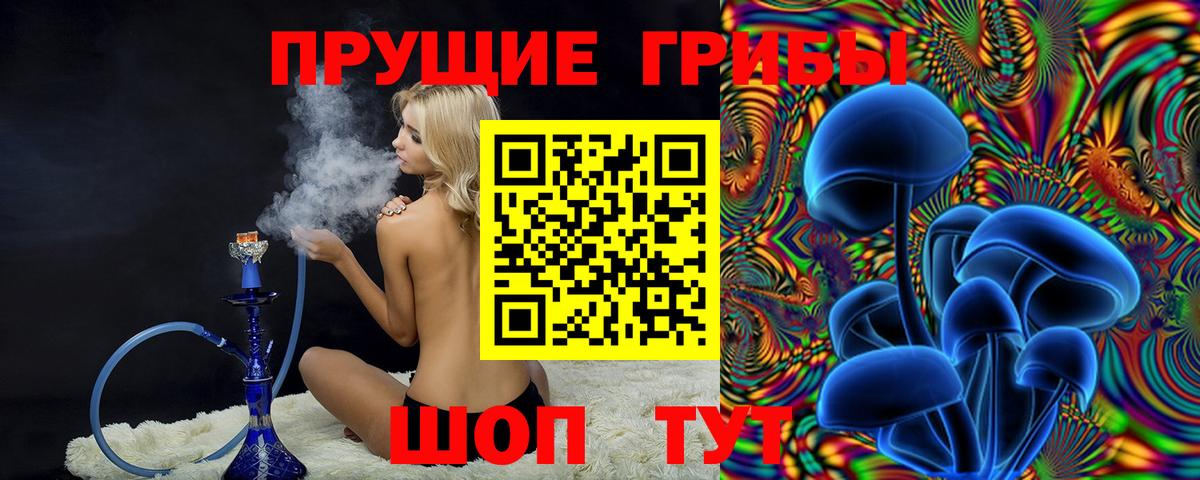 Галлюциногенные грибы Psilocybe Карпинск