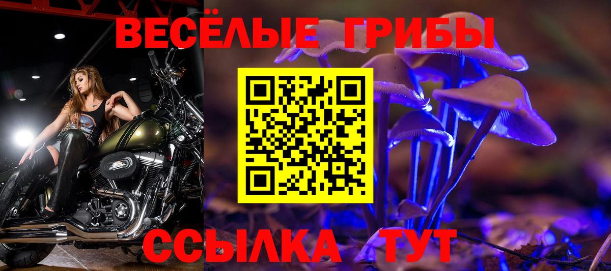 Галлюциногенные грибы Cubensis  Галлюциногенные грибы MAGIC MUSHROOMS  Карпинск  Вход с VPN 